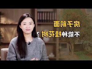 桂花樹放門口