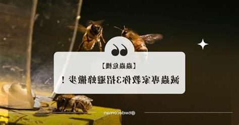 趕走蜜蜂