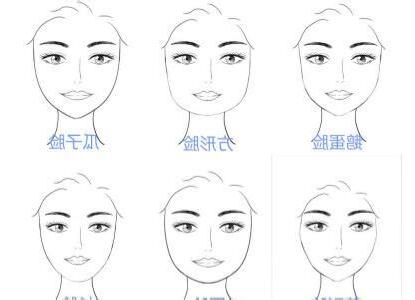 臉型圖