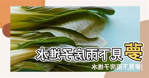 夢見房子進水