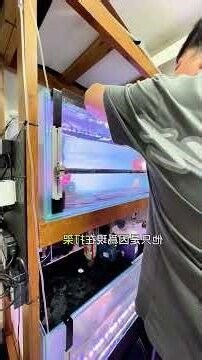 魚擋煞