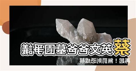 蔡英文爸爸墳墓