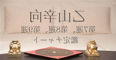 辛山乙向九運