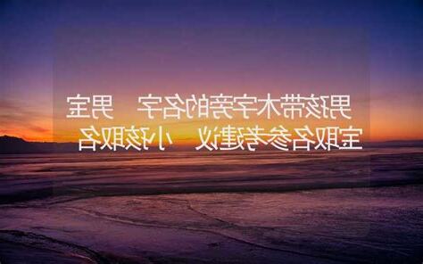 取名男