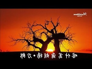 爾意思