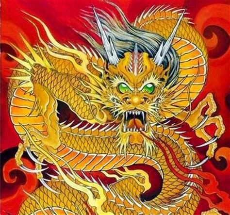 天上龍