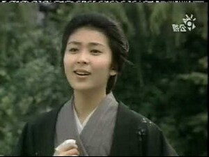 鳳凰松功效