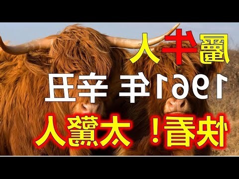 1961年出生