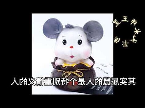 屬老鼠個性