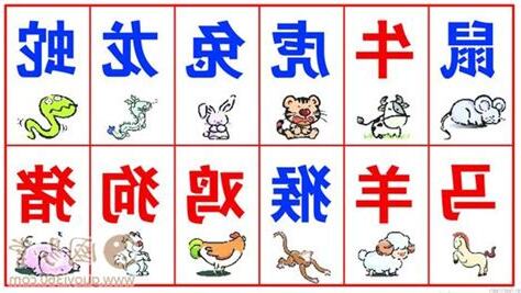 12生肖順序
