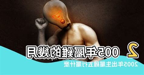 2005屬什麼