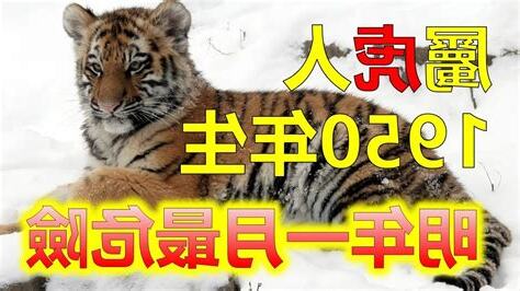 1950年屬什麼