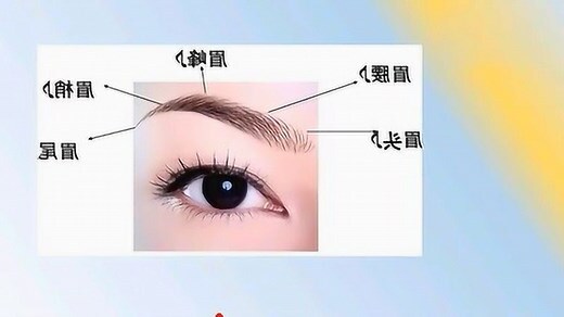 右眉毛有痣的女人