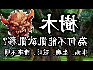 榕樹聚陰