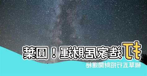 圓葉椒草五行
