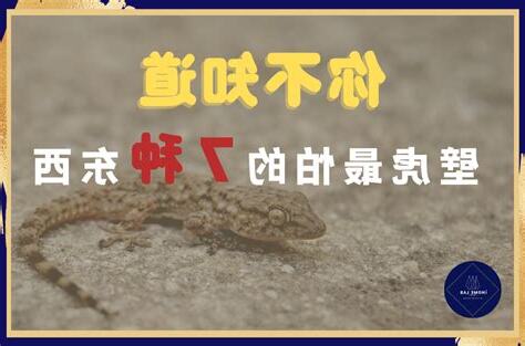 壁虎進家門