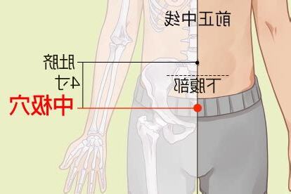 中極穴的定位正確的是