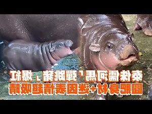 紅圓意思