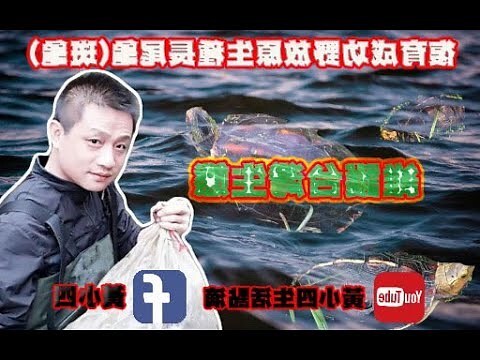 龜尾穴