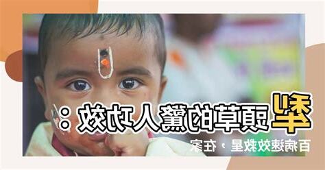 犁頭草吃法
