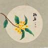 木土土