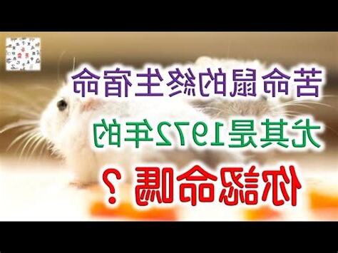 72年屬什麼