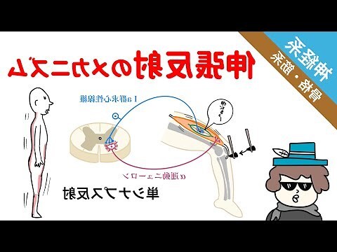 相反