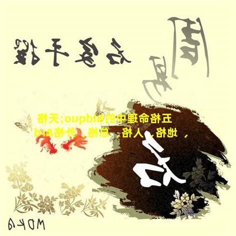 外格意思