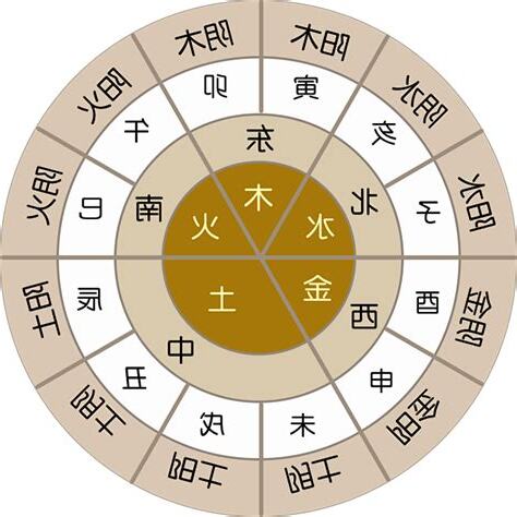 2017年生肖五行