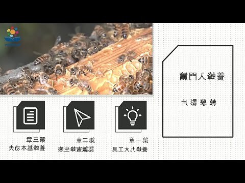家裡有蜜蜂怎麼趕