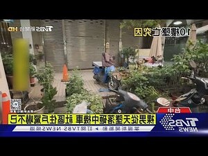 蟬跑到陽台