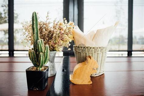 餐桌植物