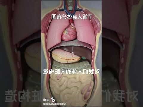 文膽武膽擺放位置