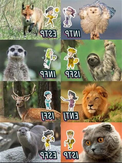 動物屬性