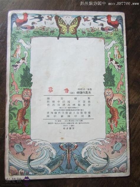 55年屬什麼