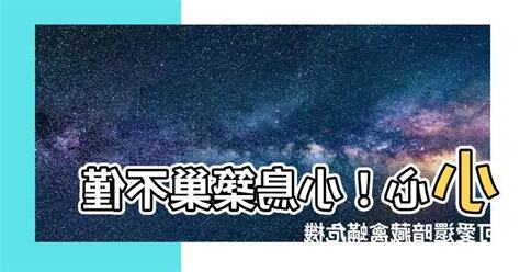 小鳥築巢怎麼辦