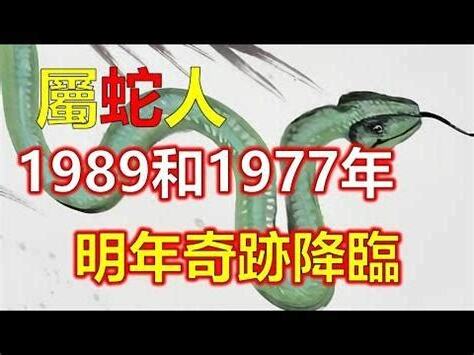 蛇五行屬什麼