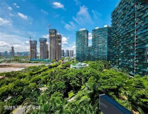 深圳最貴地段