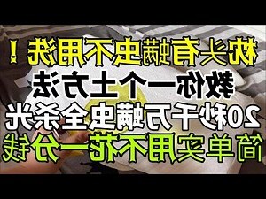 枕頭上有蟲