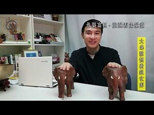 風水大象