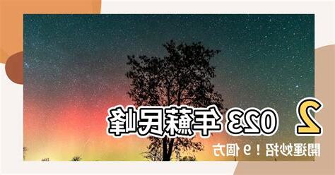 蘇民峯2023風水