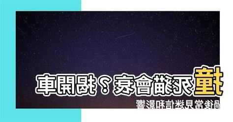 撞死貓會衰