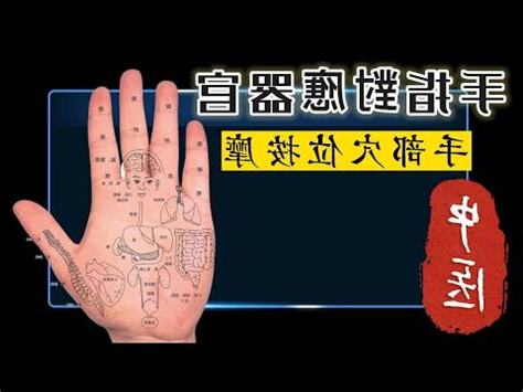 中指代表器官