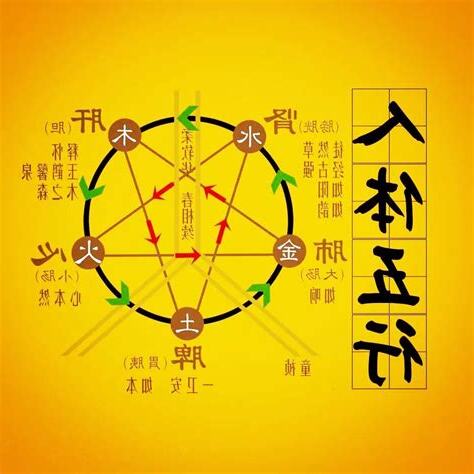 智的五行