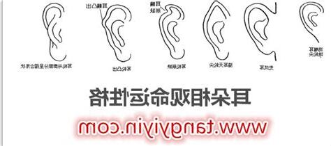 耳相