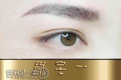 龍眉