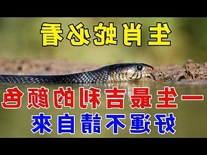 2023屬蛇忌顏色