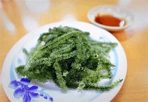 海葡萄果實可以吃嗎