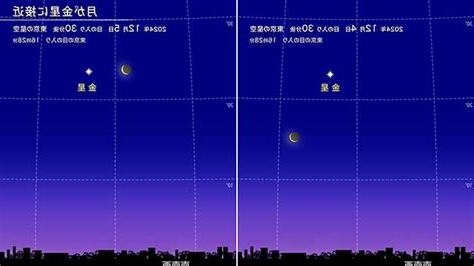 金星12宮前世