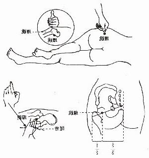 環跳位置